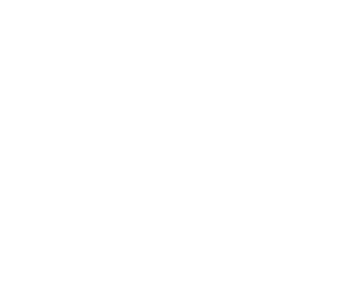FY-029A