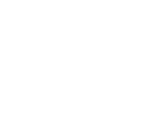 BPE-0863