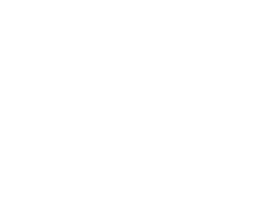 FP-040