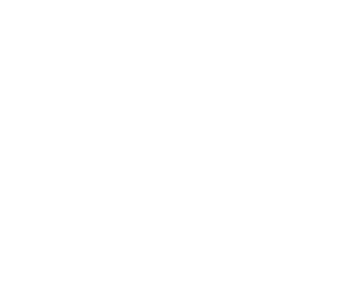 FP-045
