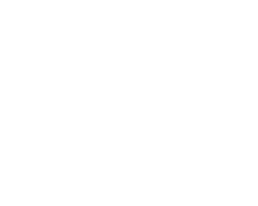 BPE-1020