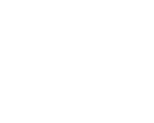 FP-043