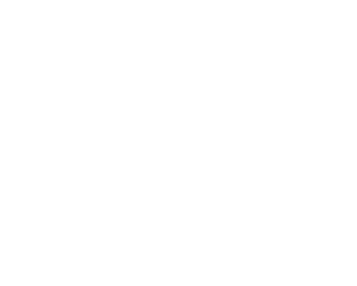 FP-041